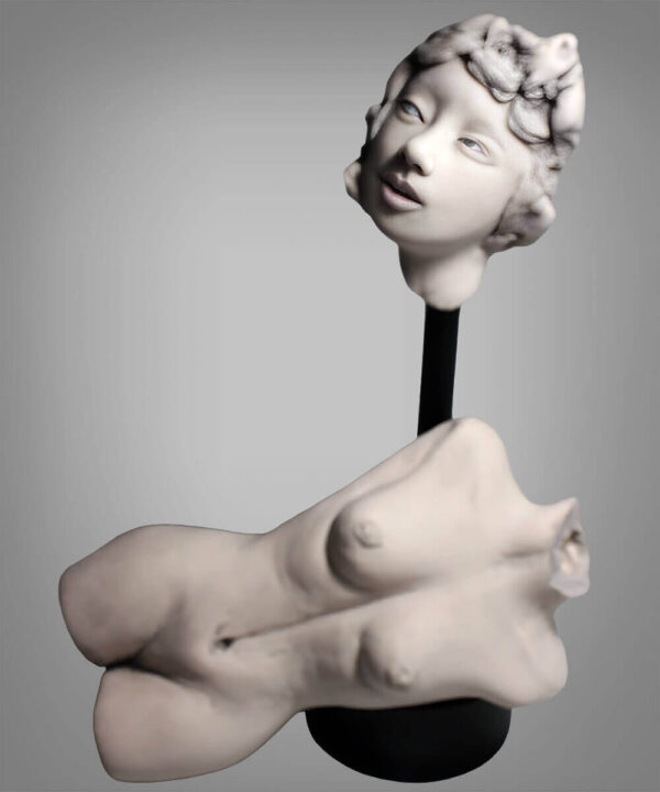 Fragmented Equilibrium - Image 1